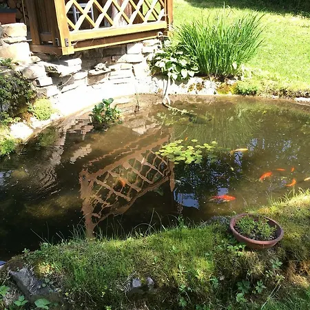 Originalna Drevenica 43 * Jezersko